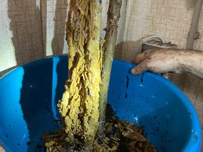 0-02-05-1498ac54f3298d5fa45297bc22396f53b1260a44464a737e47041bf7753eba69_4885ec8b84eb294